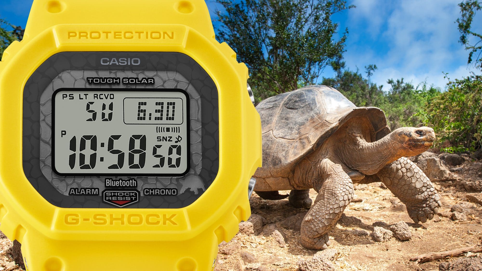 Tortuga gigante de Galápagos [GW-B5600CD-9]