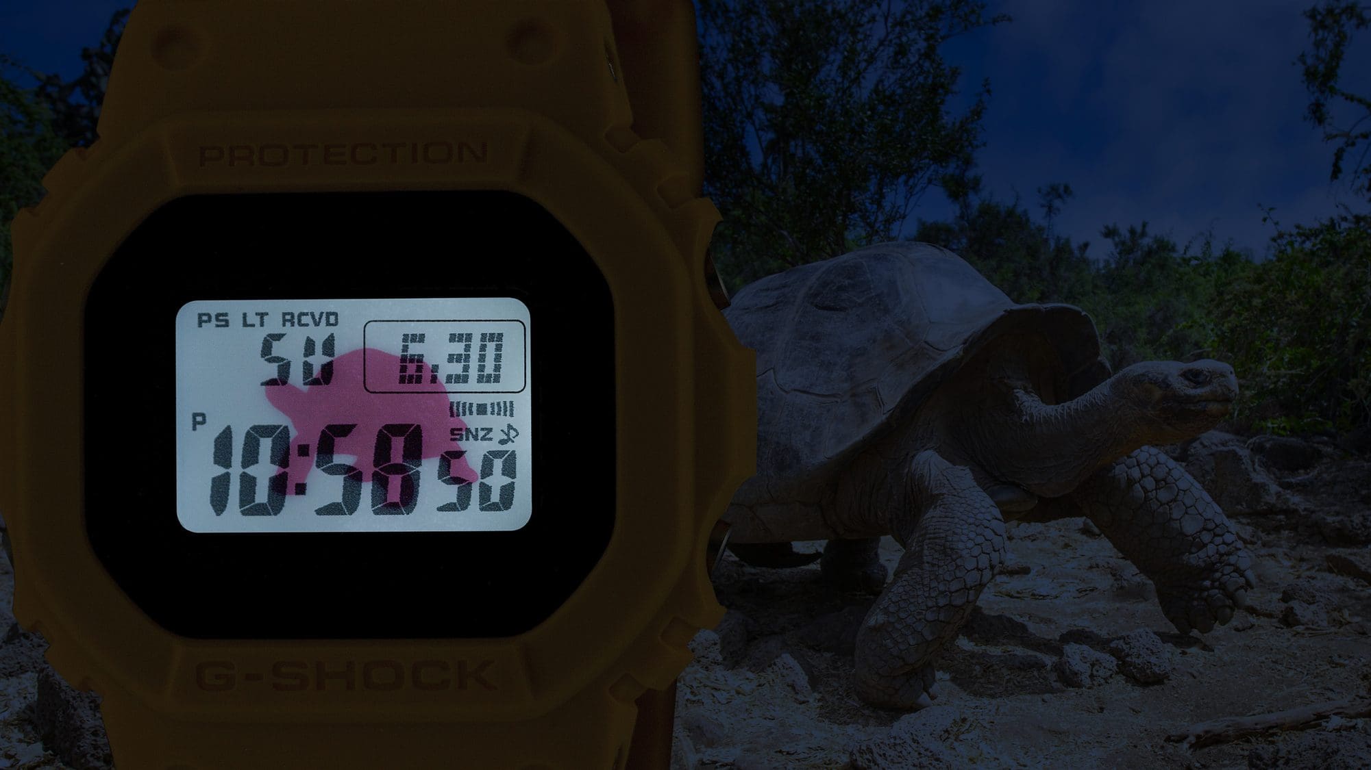 Tortuga gigante de Galápagos [GW-B5600CD-9]