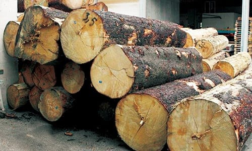 Una pila de troncos de madera