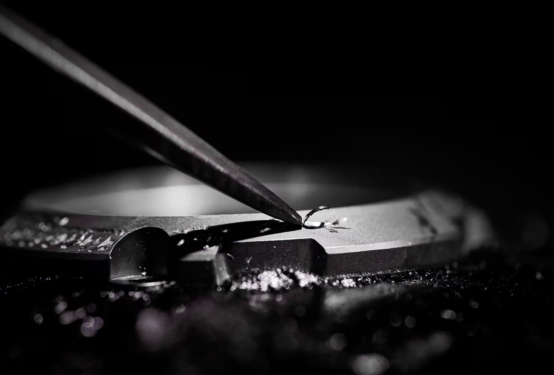 Une photographie avec un phénix gravé sur la lunette