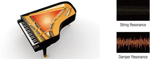 Grafica del corpo risonante di un pianoforte a coda e due immagini con le deflessioni di risonanza: “String Resonance” e “Damper Resonance”.