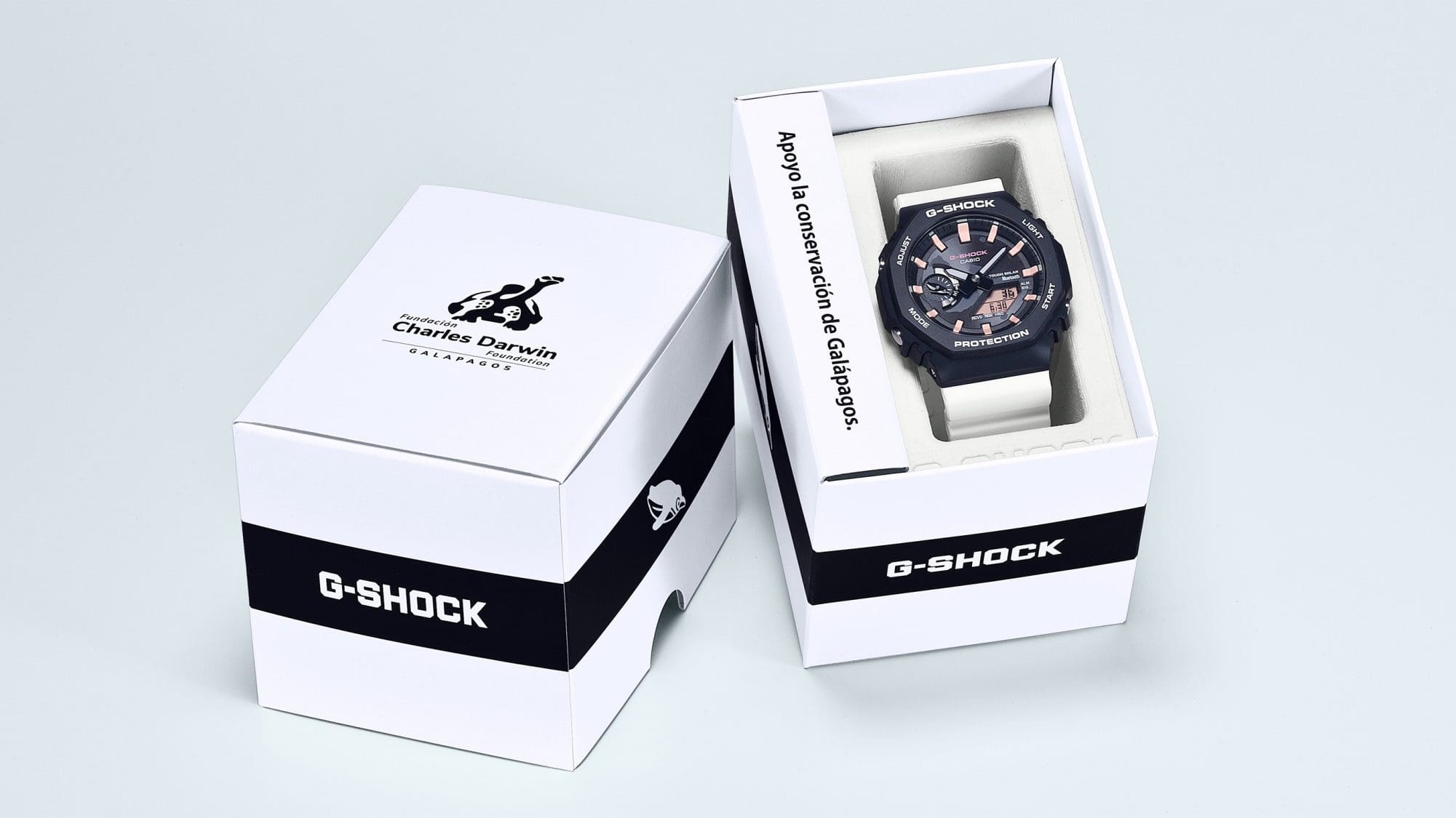 コラボレーションを飾るスペシャル仕様