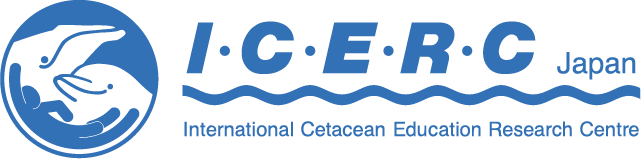 ICERC Japan logo