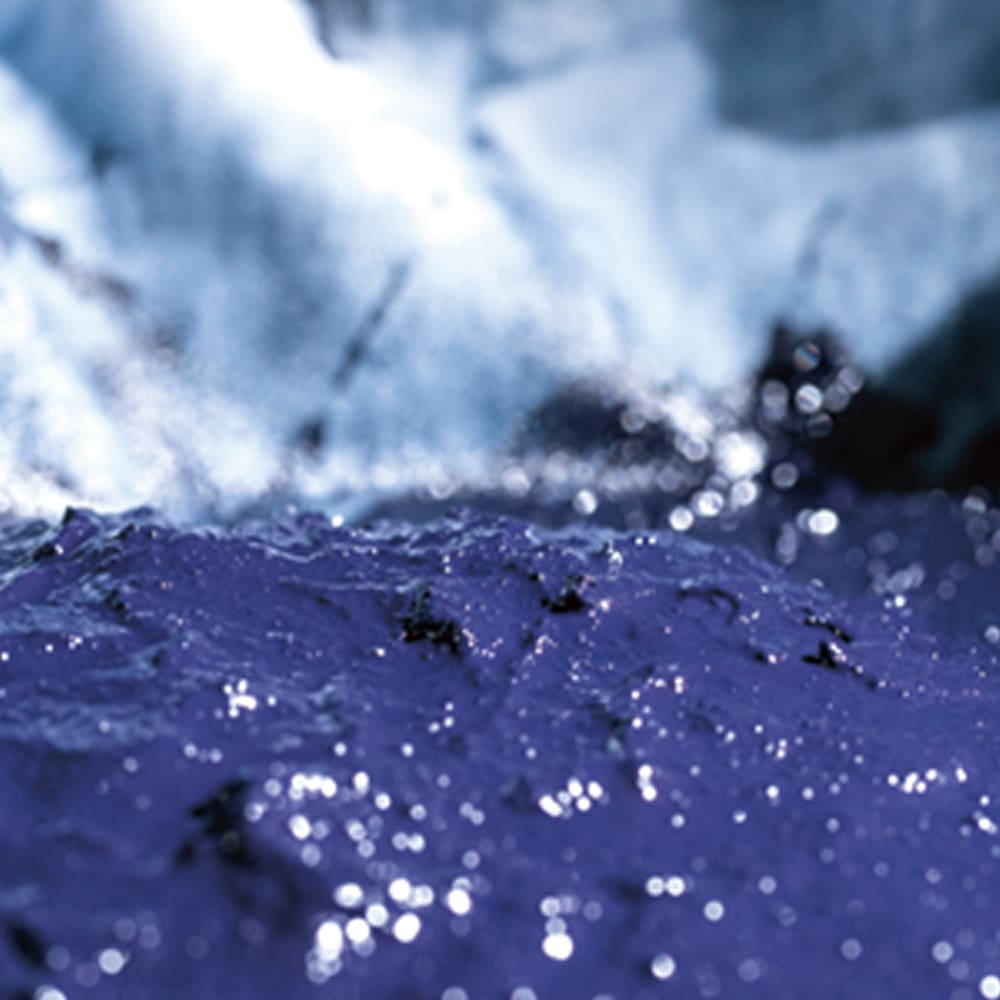 沈殿藍の説明画像