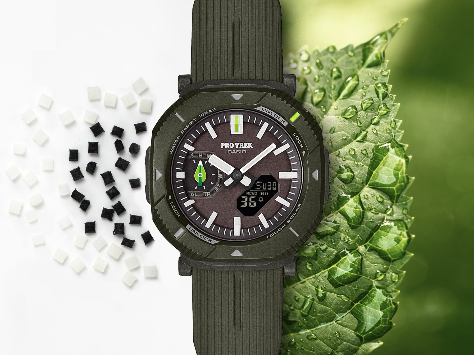 バイオマスイメージ画像