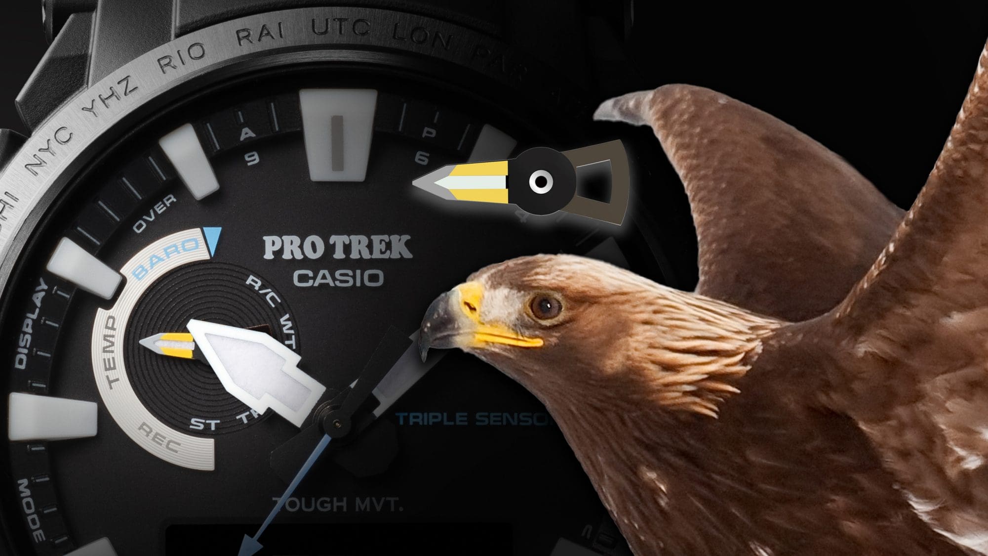 Special design with a golden eagle motif