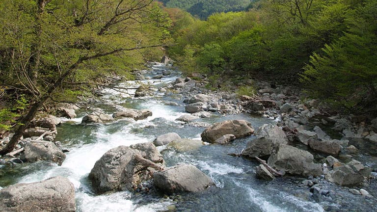 飲む。見る。歩く。自分のなかを流れる「川」から自然保護を考える