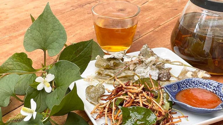 アジアで人気の香草！ドクダミの葉っぱや根っこでドクダミ料理をつくろう