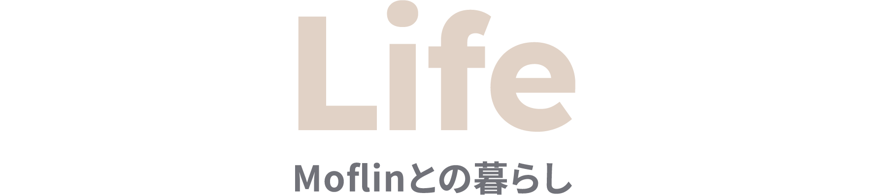 Life Moflinとの暮らし