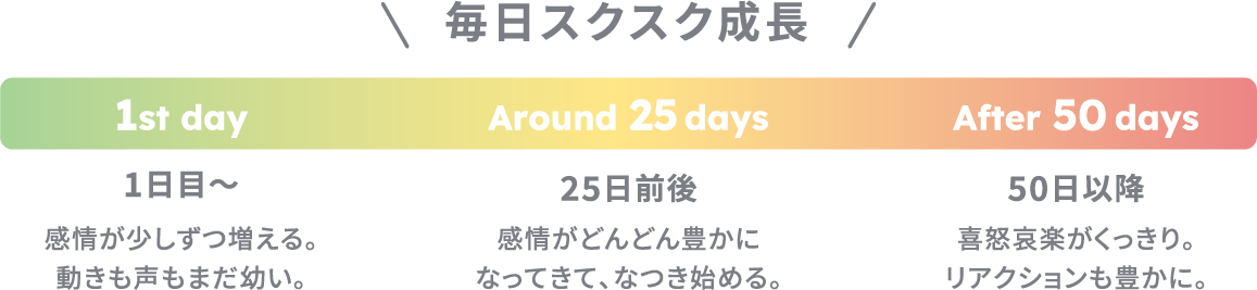 感情は50日間でスクスク成長します。