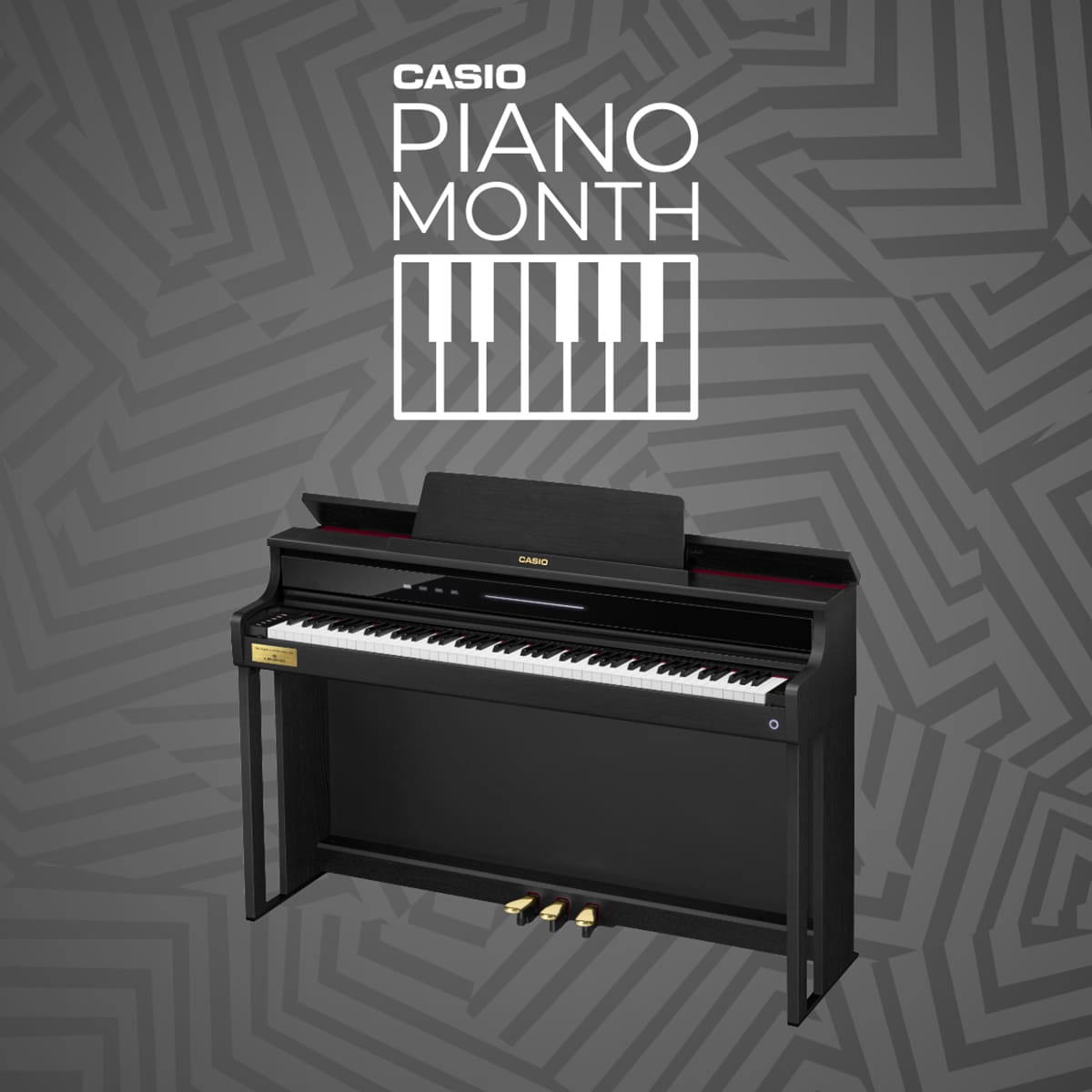 bechstein | CASIO
