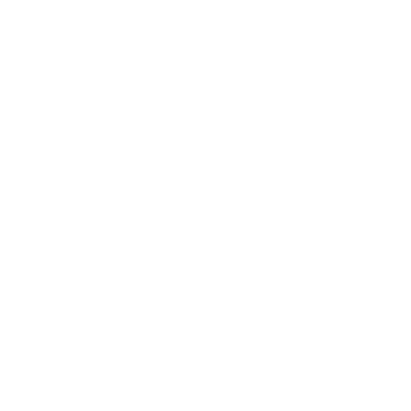 Logo en opschrift: Team Land Cruiser Toyota Auto Body