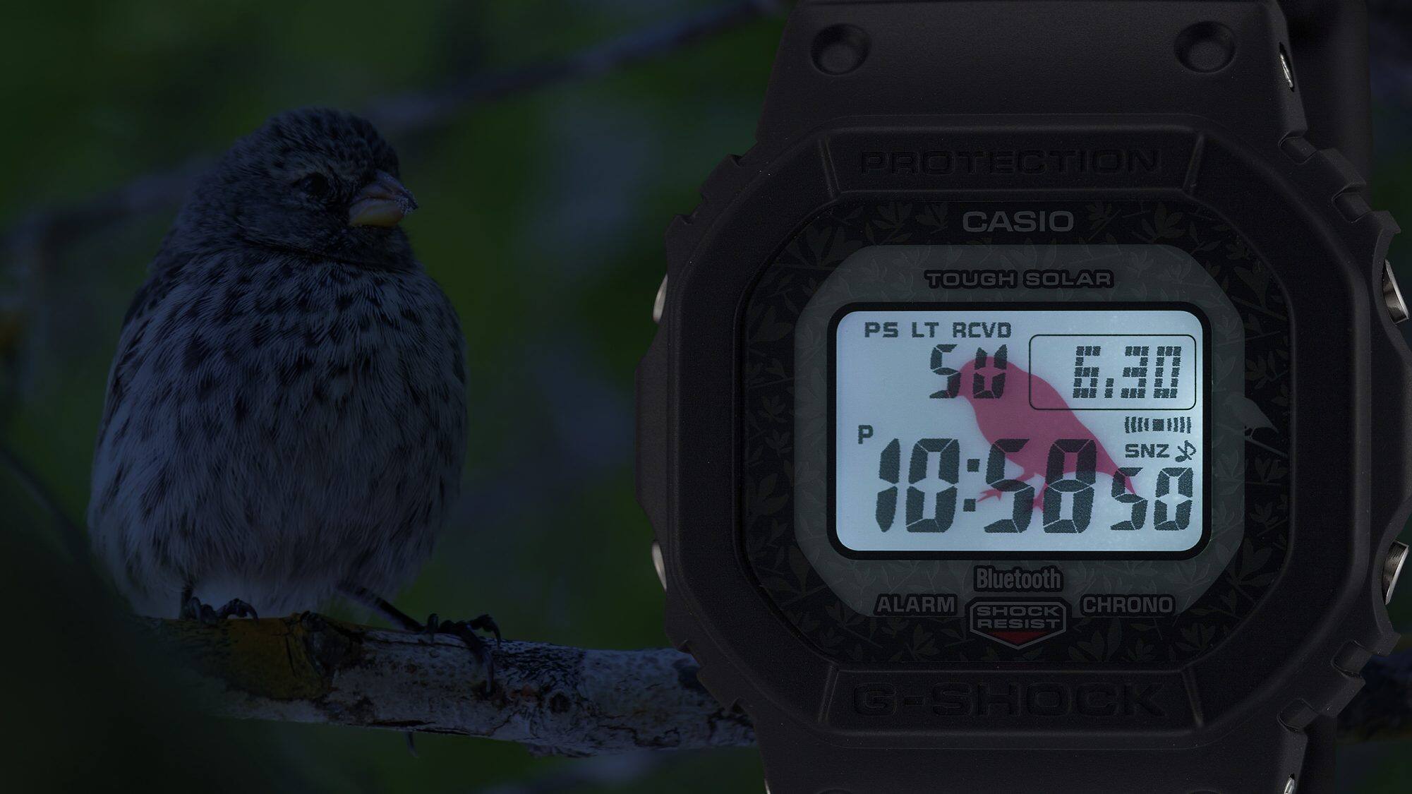 GW-B5600CD-1A3 | G-SHOCK DİJİTAL 5600 SERİSİ | CASIO TURKEY